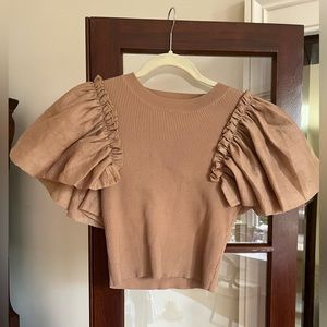 Zara Puff Sleeve Brown Blouse